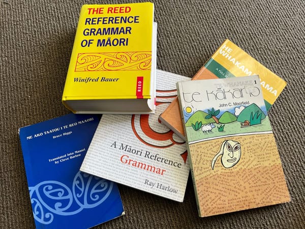 Building a te reo Māori immersion environment